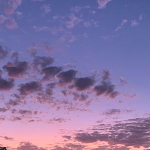 Meet your Posher, Jadyn